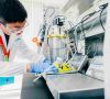Mensch in Laborkittel und Schutzkittel beugt sich über einen Bioreaktor der auf einer Laborbank steht