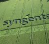 Auch die US-Wettbewerbsbehörde FTC hat der Übernahme von Syngenta durch Chemchina zugestimmt. )