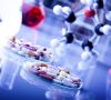 Petrischale mit Tabletten und Pillen gefüllt steht im Labor, Biopharmazie, Biopharmazeutika, Biotechnologie