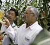 BASF richtet Forschung in der Pflanzen-Biotechnologie neu aus