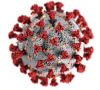 Graphische Darstellung eines Corona-Virus mit erkennbaren Spike-Proteinen auf der Außenhülle.