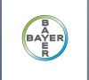 Bayer und RAGT wollen gemeinsam Weizensaatgut verbessern