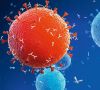Flu drug attacking virus cells.